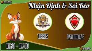 Nhận định Tigres vs Patriotas & Soi Kèo Bóng Đá | Socolive