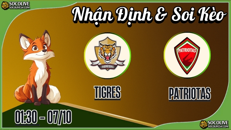Nhận định Tigres vs Patriotas & Soi Kèo Bóng Đá | Socolive